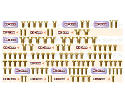 GSS-X8   Gold Plated Steel Screw Set 100pcs.( For Xray X8 )