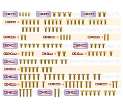 GSS-XB2'25   Gold Plated Steel Screw Set 140pcs.( For Xray XB2'25 )